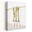 Cactus sur fond blanc minimaliste abstrait plante cactus paysage tropical-1226103803