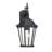 Okanagan 1-Light Outdoor Wall Lantern