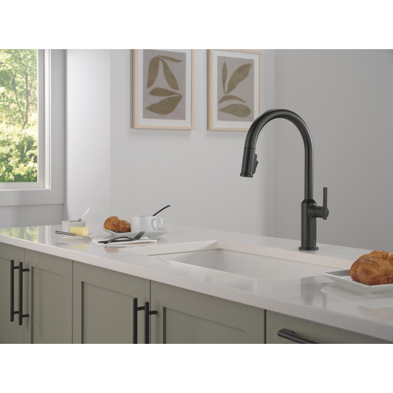 Single Handle Pull-Down Kitchen Faucet, Matte Black