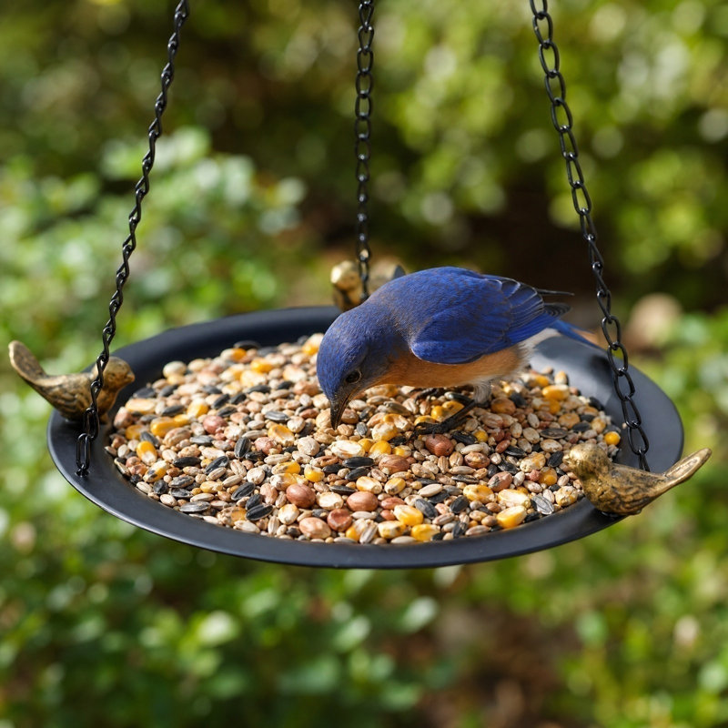 Récipient à grain suspendu classique de 65 cm de haut pour les petites créatures volantes, 9,65 po x 9,65 po x 25,59 po, noir