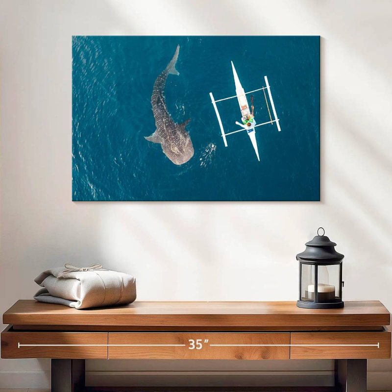 Requin-baleine Brampt Oslob, H 16 po x l 24 po