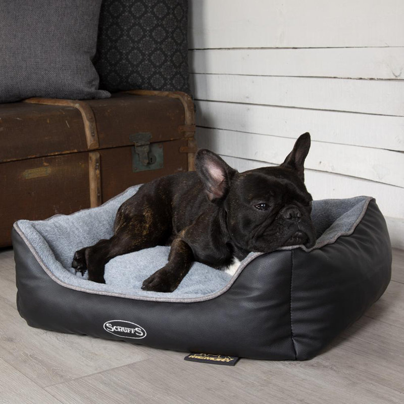 Chateau Orthopedic Polyester Pet Bed, Dove, 17cm H x 60cm W x 50cmD