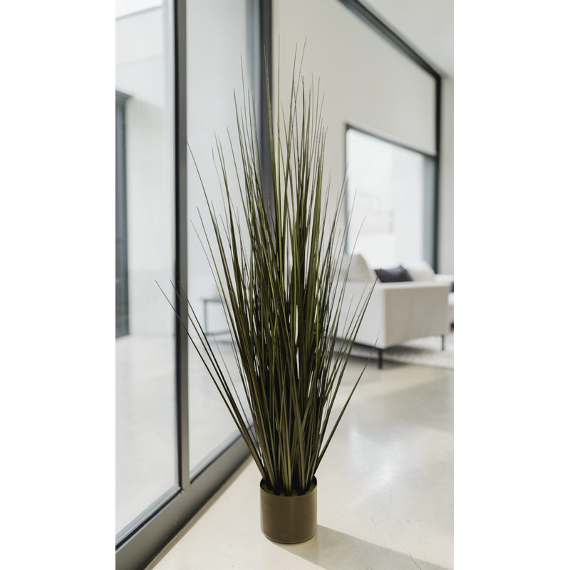 Herbe dans un pot 47 po, 47 po x 22 po