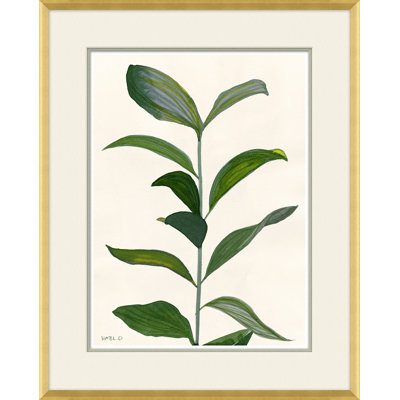 Sea Greens Giclee Print by Susan Hable