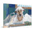 Wash Wash Your Trouble - reproduction d'art sur toile tendue-1731107220