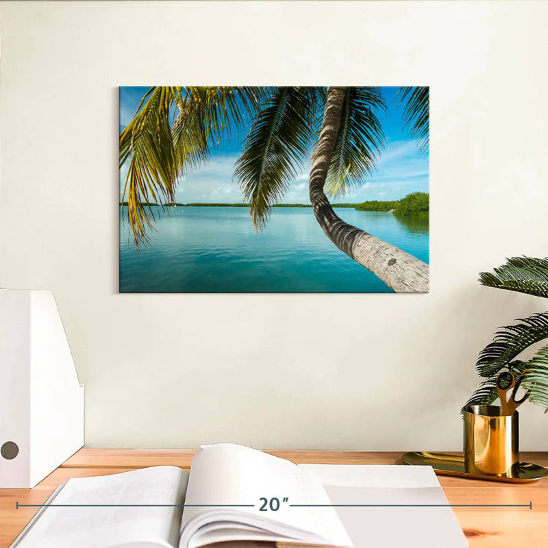 Palmier Gillard Seaside, H 8 po x l 12 po