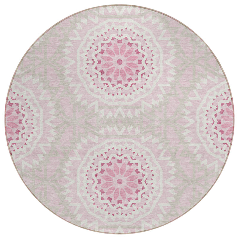 Tapis intérieur lavable 8 pi