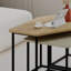 Bukurie Frame Nesting Coffee Table Set-1995289566