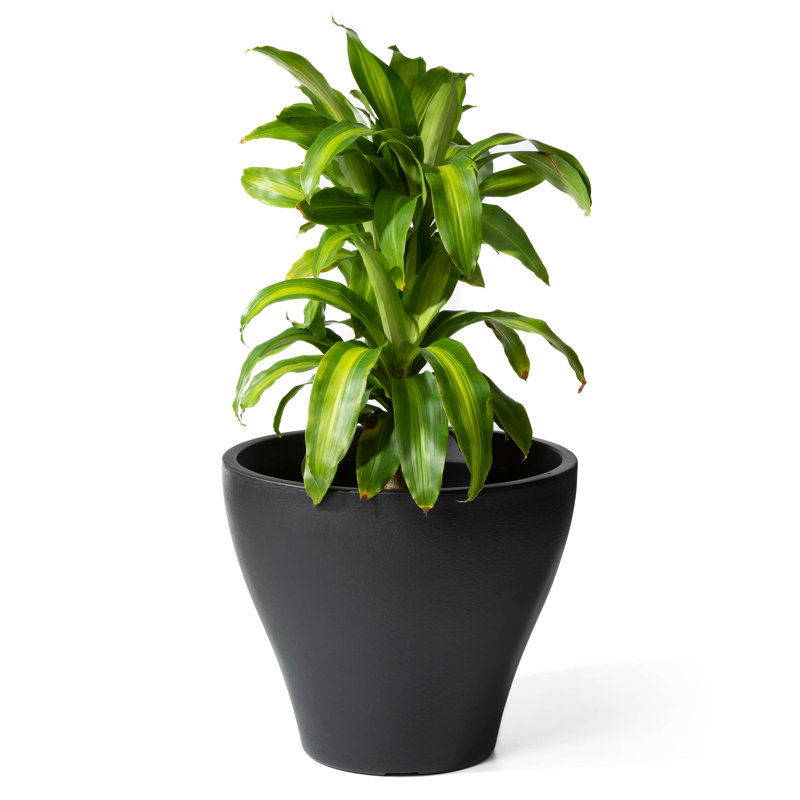 Pot Planter, Black