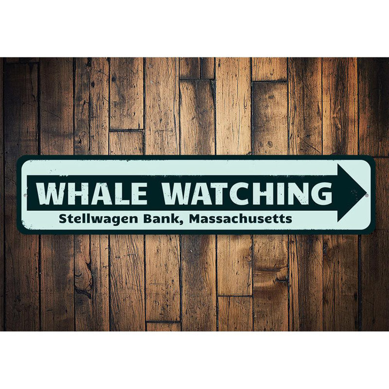 Panneau de baleine en métal, H 6 po x l 24 po x P 0,06 po