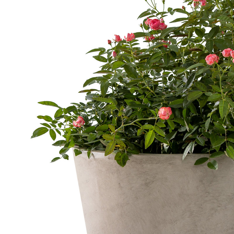 Concrete planter pot, Light Gray