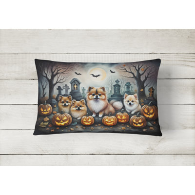 Outdoor Throw Pillow