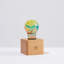 Lampe de table en bois 6,3 po