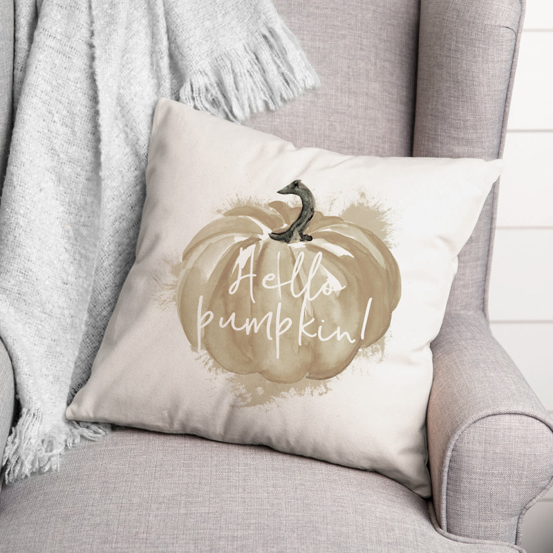  Housse et insert de coussin Hello Hello, H 16 po x l 16 po