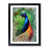 Black Framed selected