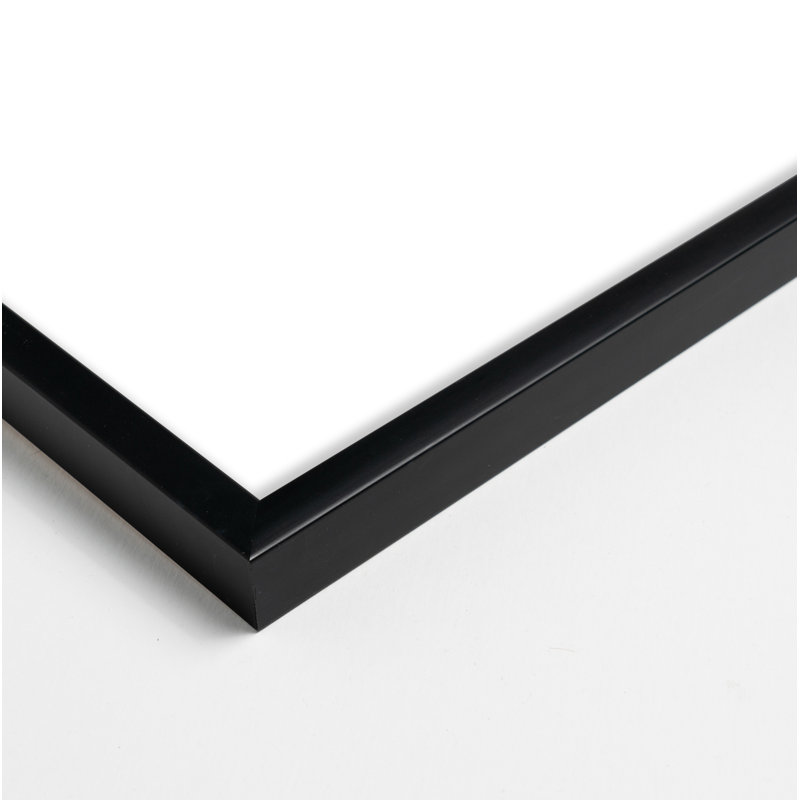 Ensemble de 2 reproductions de cadres Madalynn, Bois noir, H 50 po x l 40 po x P 1,25 po