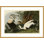 «Eider Duck» par John James Audubon, impression giclée sur cadre