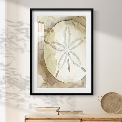 Dry Sand Dollar II -Framed Print