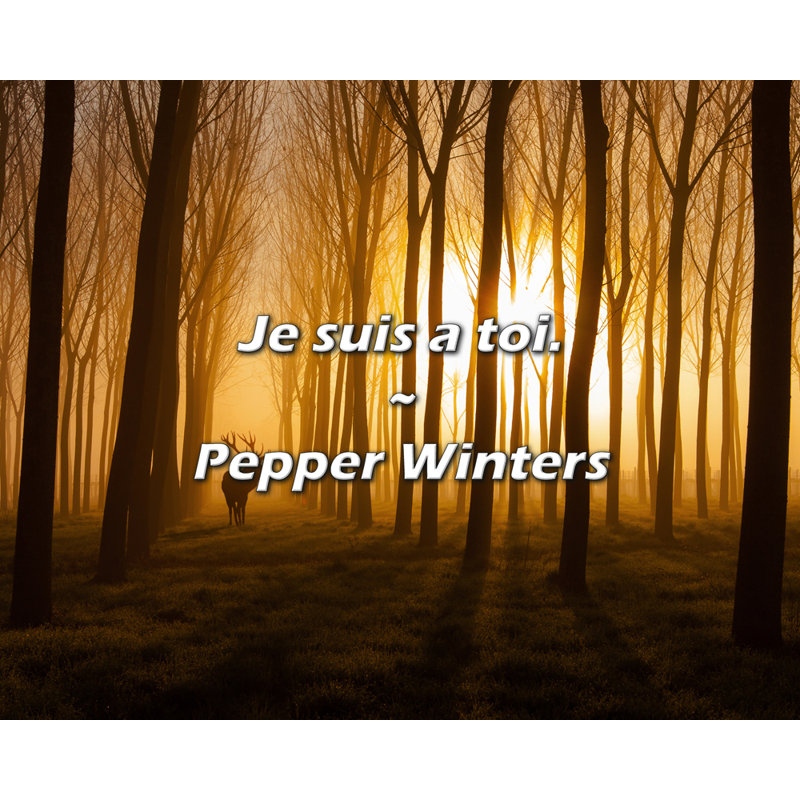 Citation de Pepper Winters: Je suis a vous.