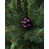 Purple is out of stock