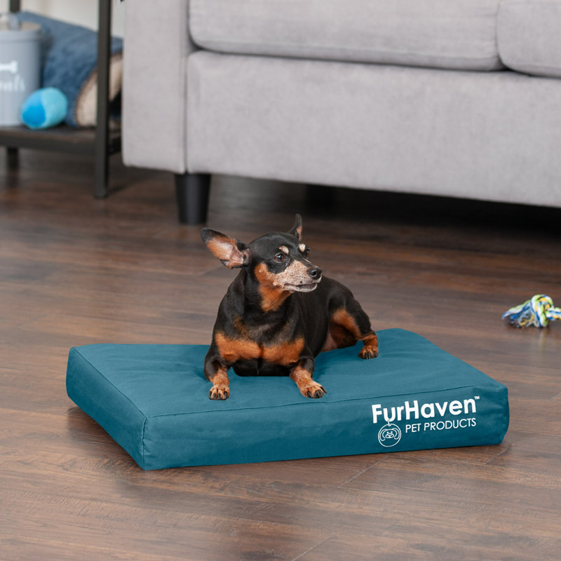 Oxford Indoor/Outdoor Deluxe Full Support Dog Bed, Deep Lagoon, Medium (30" W x 20" D x 3" H)
