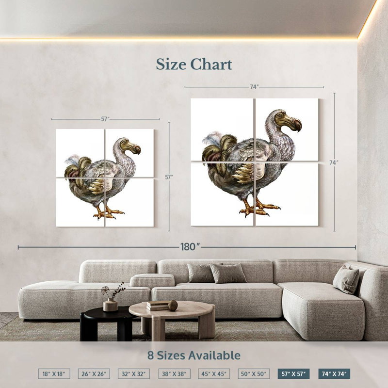 Brampt Dodo, 57" H x 57" W