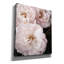 Toile épique Graffiti «Soft Pink Roses 2» par Debra Van Swearingen, 26 po x 30 po