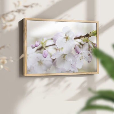 Signes du printemps - impression encadrée - réarmable