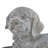 Ariyanna Dog Stone Garden Statue