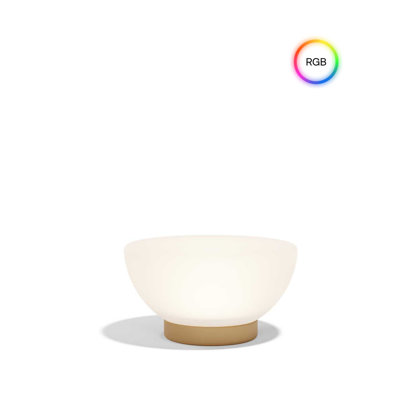 Luna Lamp 23.5" RGBW