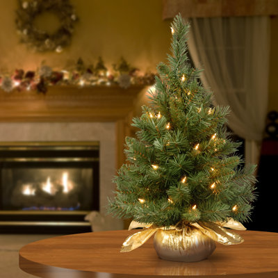 2ft. Majestic Fir Tree with Clear Lights