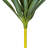 Vickerman 35" Green Yucca Stem.