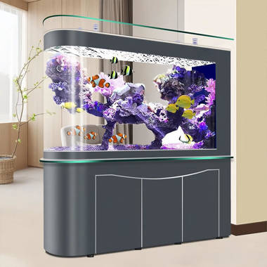 Lawrence Frames Cyan Rectangular Eco Aquarium Tank