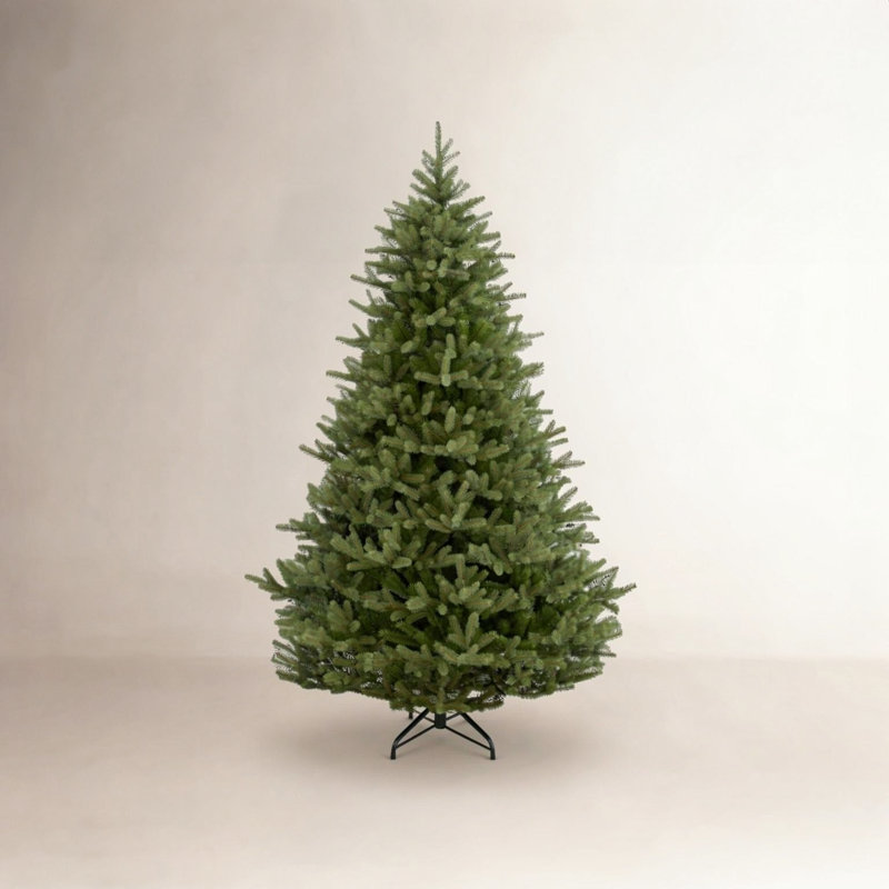 Sapin de Norvège, H 9 pi