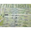 9'x12'2" Green Crocodile Safari Design All Silk Hand Knotted Oriental Rug 7AB14C3E9F17434E96CFA366D810C23E