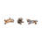 Trinx 3-Pieces Polyresin Cool Dogs Decor Figurines, Gold