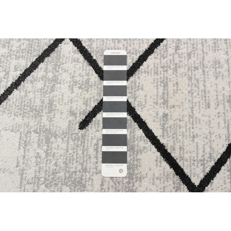 Tapis ivoire / noir Delphinia, Tapis de couloir 2 pi 6 po x 8 pi