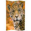 6 Ft. Tall Double Sided Peacocks Canvas Room Divider-1037868836