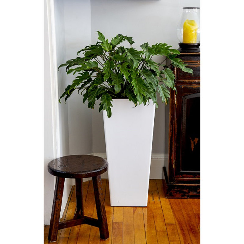 32" H Cascade Square Tall Planter, Warm Gray