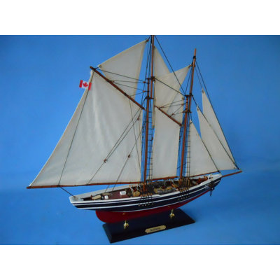 Bateau à modèle limité Elim