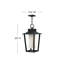 Sullivan 1-Light Outdoor Hanging Lantern-873446268-873446243