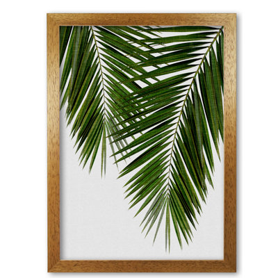 Palm Leaf II - Print