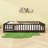 Queen Wood Floor Bed With Fence
