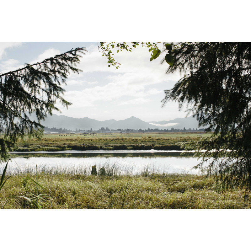 Pacifique Nord-Ouest, Oregon X, H 8 po x l 12 po