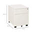 Billups 39cm Wide 2 -Drawer Mobile Steel File Cabinet-146801499