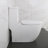 KDK HOME Modern Elongated Toilet Siphon Jet Dual-Flush Round Toilet with Soft Closing Seat