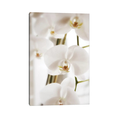 White Orchid Flowers 1 Piece Wrapped Canvas Wall Art