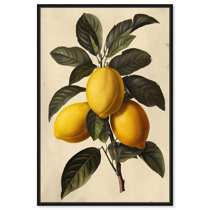 Impression sur toile Zesty Precision par Art Remedy, H 37 po x l 25 po, Cadre flottant noir