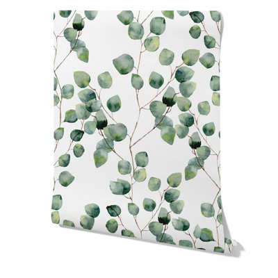 Cesiah Eucalyptus Wallpaper