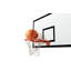 Papier peint de qualité supérieure - Basketball Hoop Action-1921969042